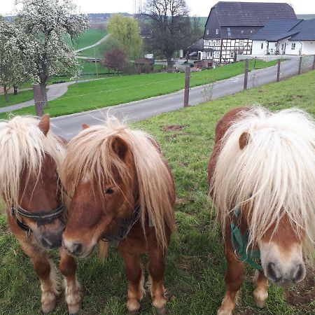 Ferienhof Papiermuehle Hofgeismar Eksteriør billede
