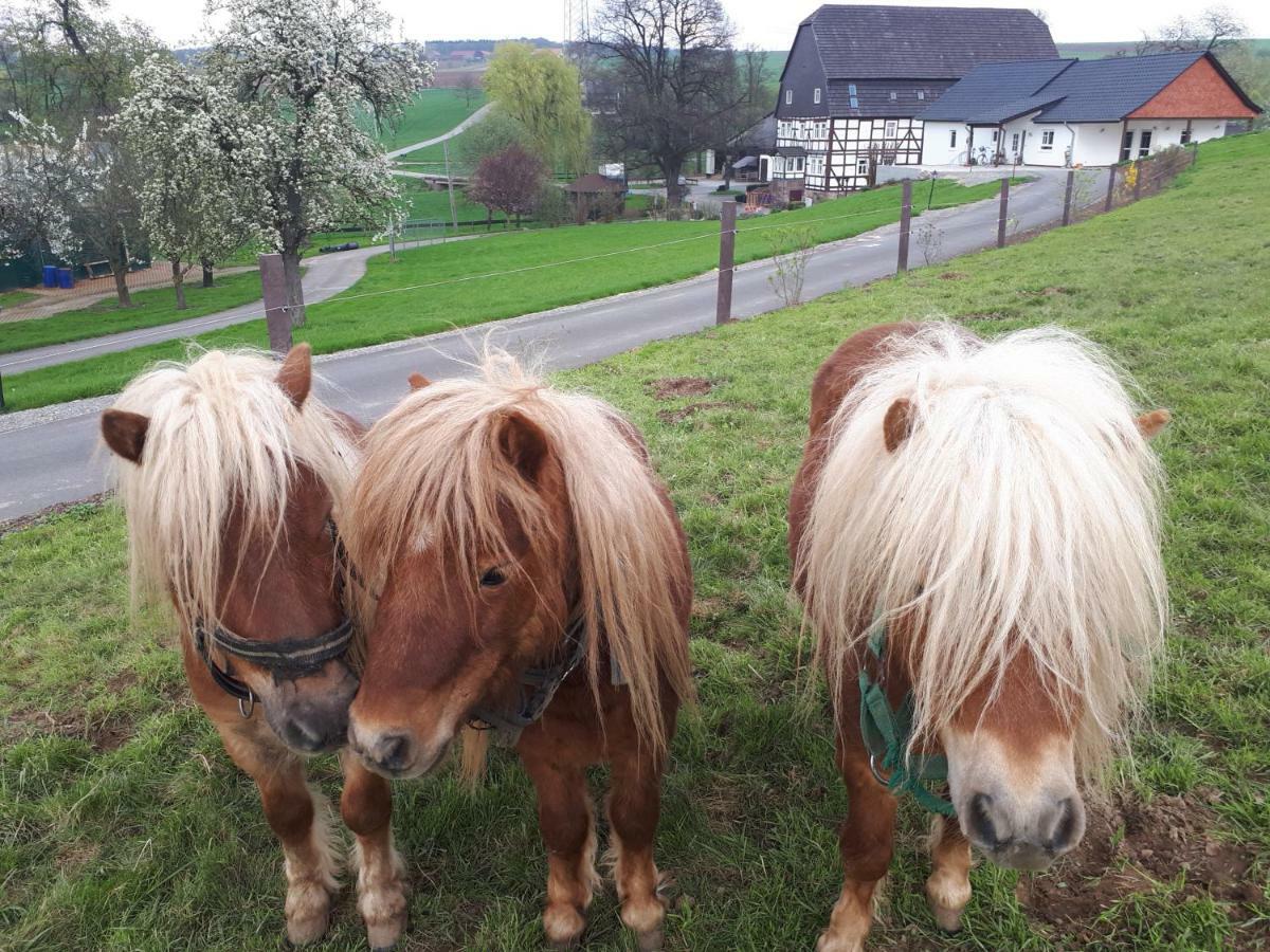 Ferienhof Papiermuehle Hofgeismar Eksteriør billede